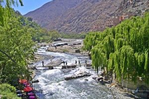 Atlas Mountains- Ourika Valley